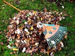Gartenabfall