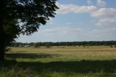 Heidelandschaft Münchner Allee