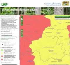 Befall durch Borkenkäfer in Oberschleißheim