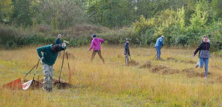 Pflegemaßnahme Orchideen- und Streuobstwiese / Magerrasen südlich B471